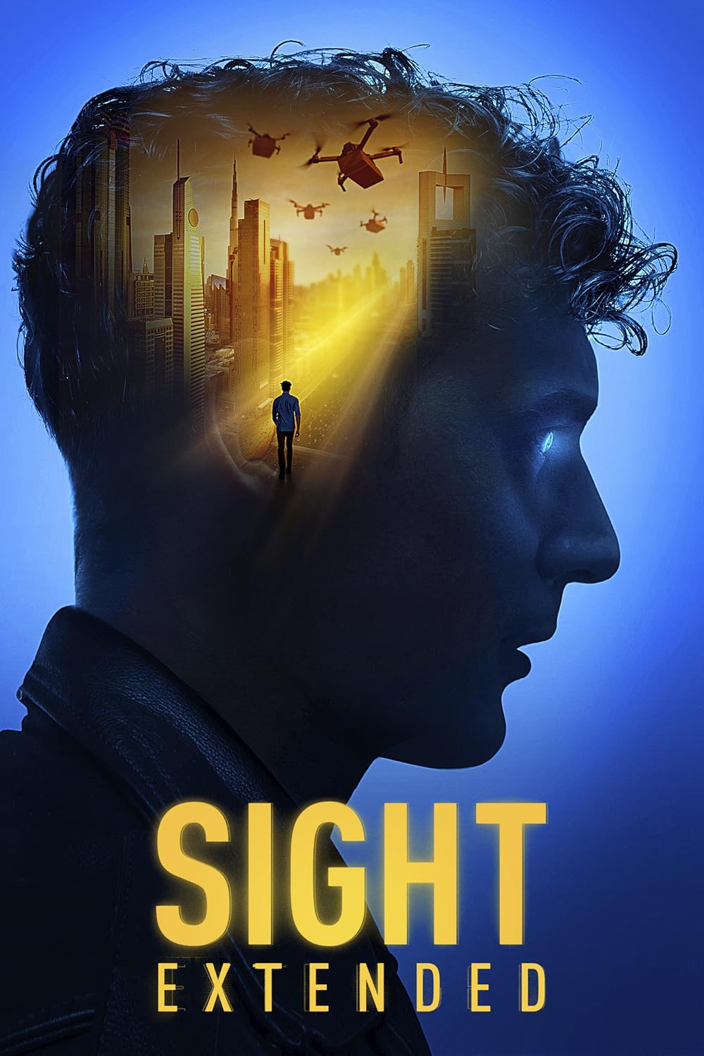 Sight: Extended 
