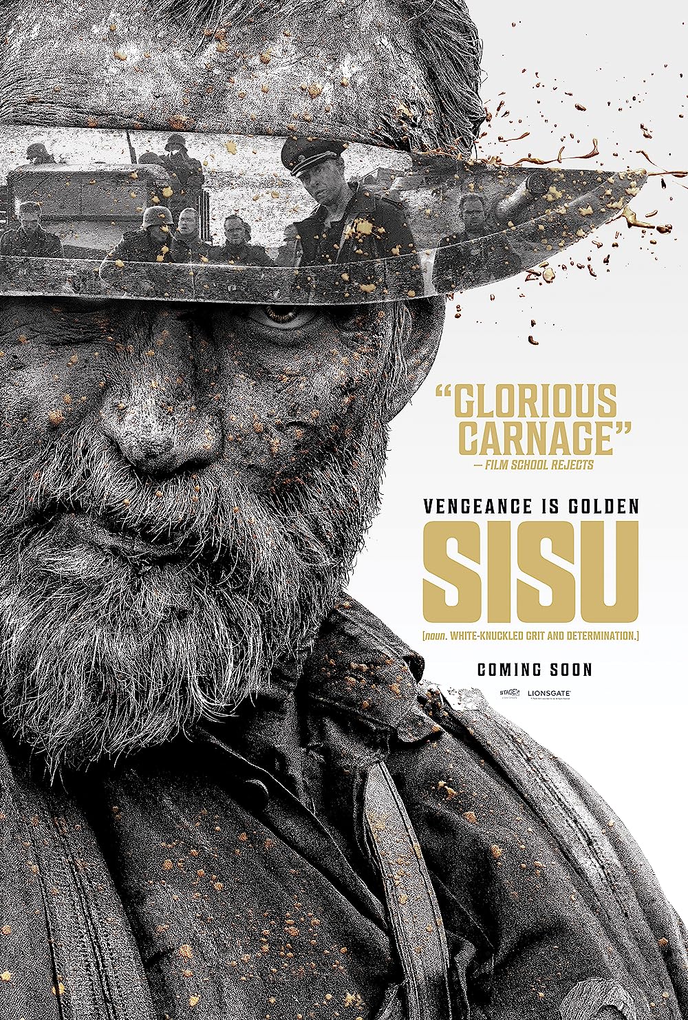 Sisu 