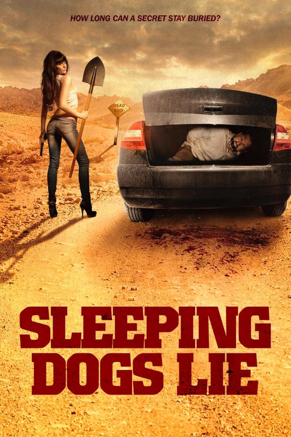 Sleeping Dogs Lie 