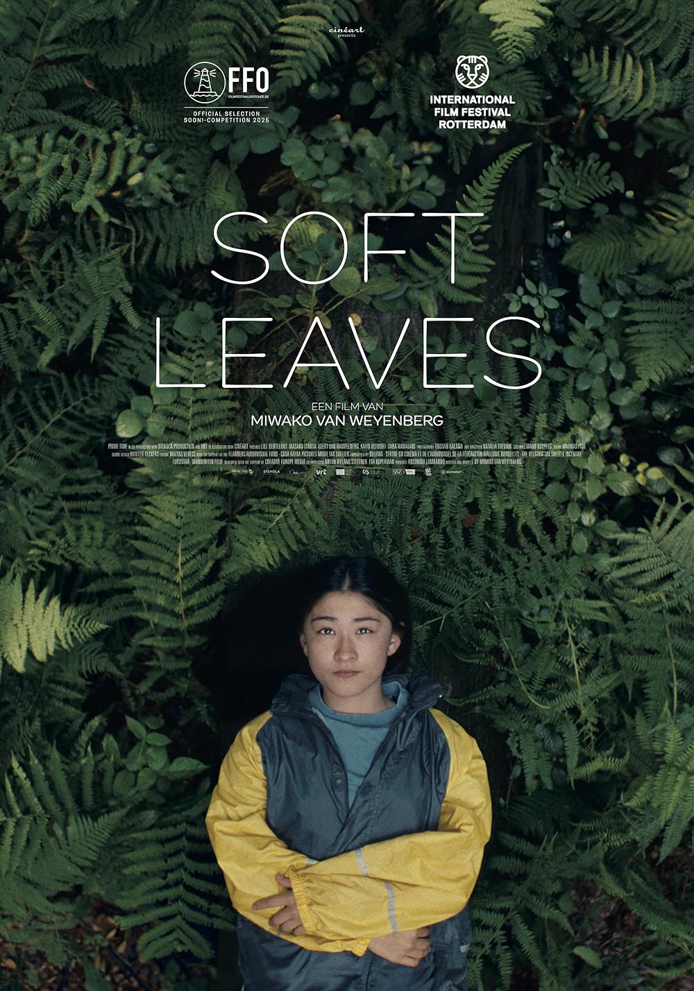 Soft Leaves 