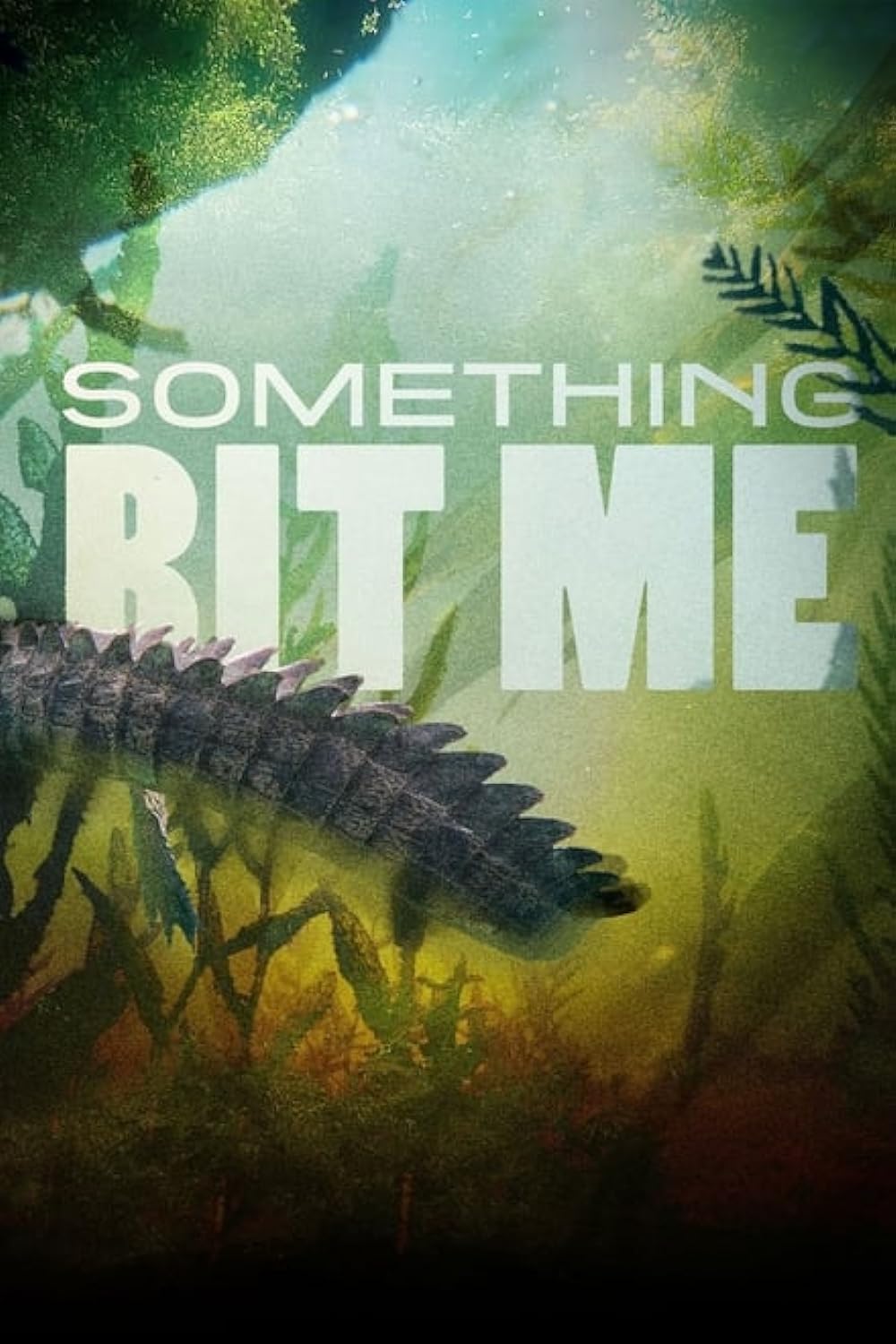 Something Bit Me 