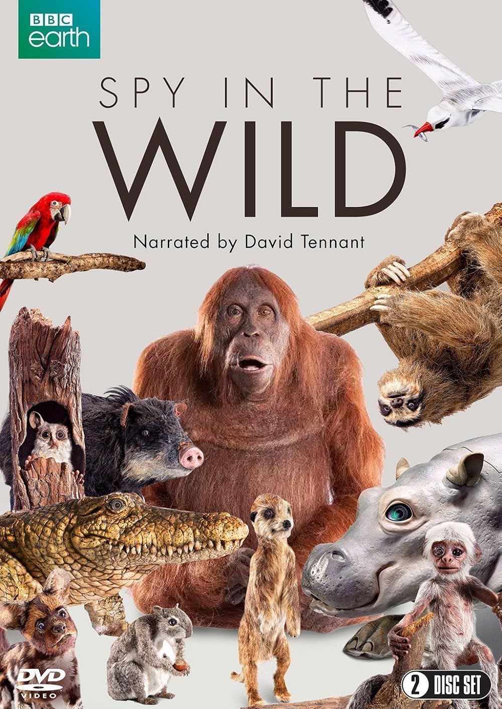 Spy in the Wild 