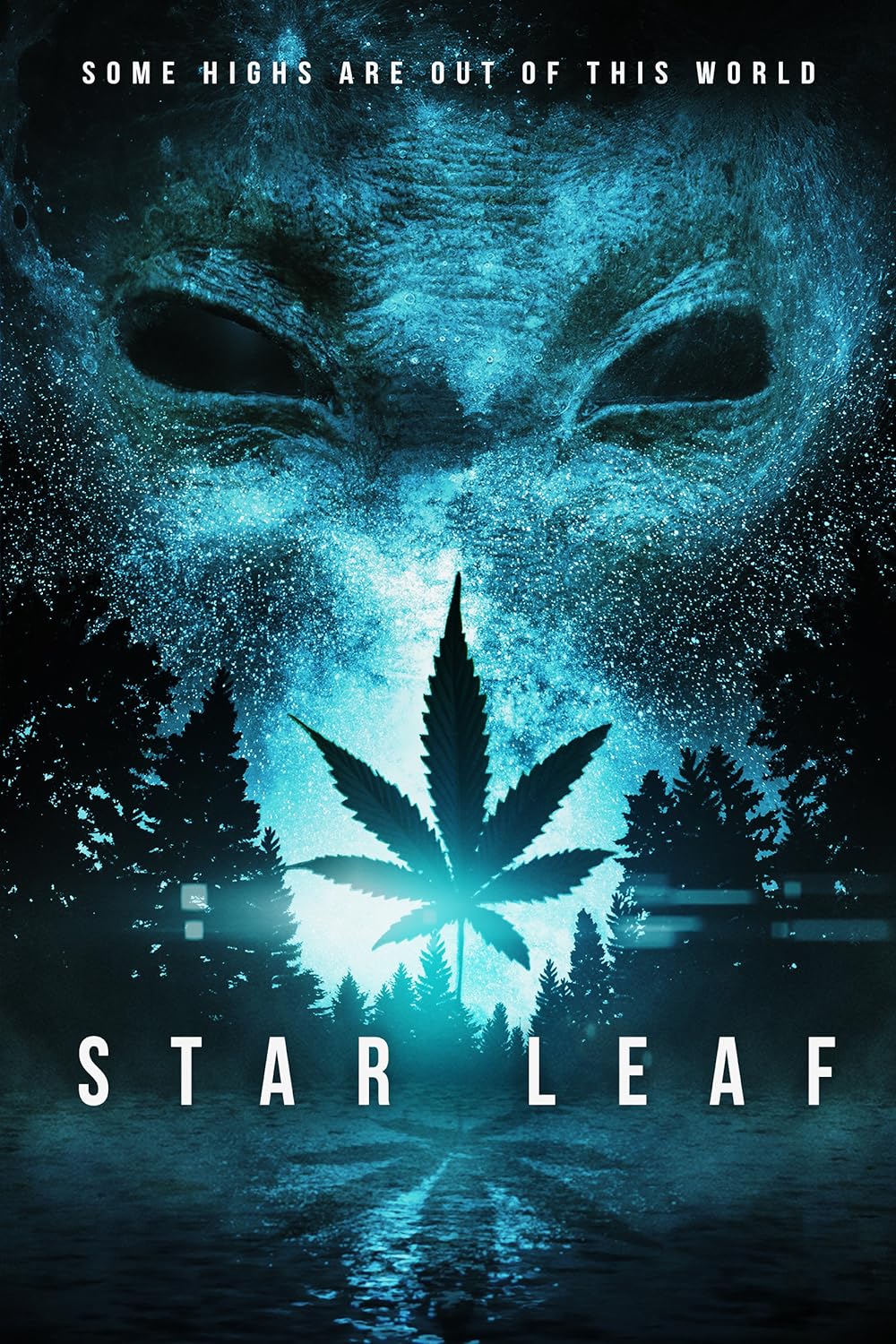 Star Leaf 