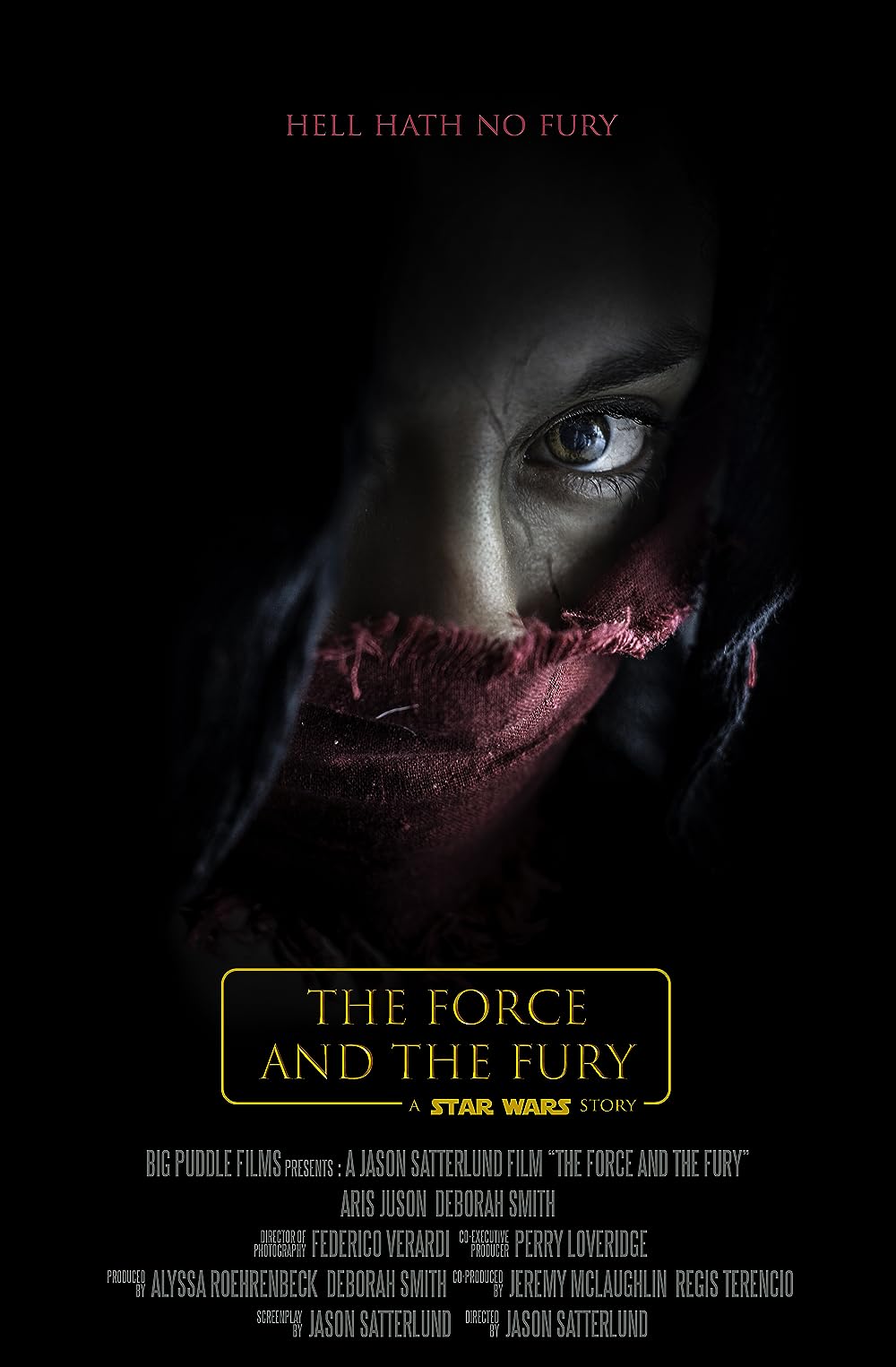 Star Wars: The Force and the Fury 