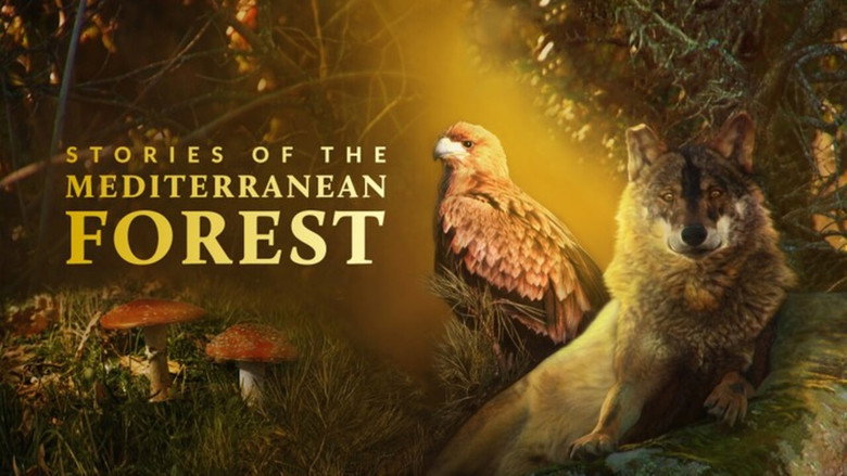 Stories of the Mediterranean Forest (2018)