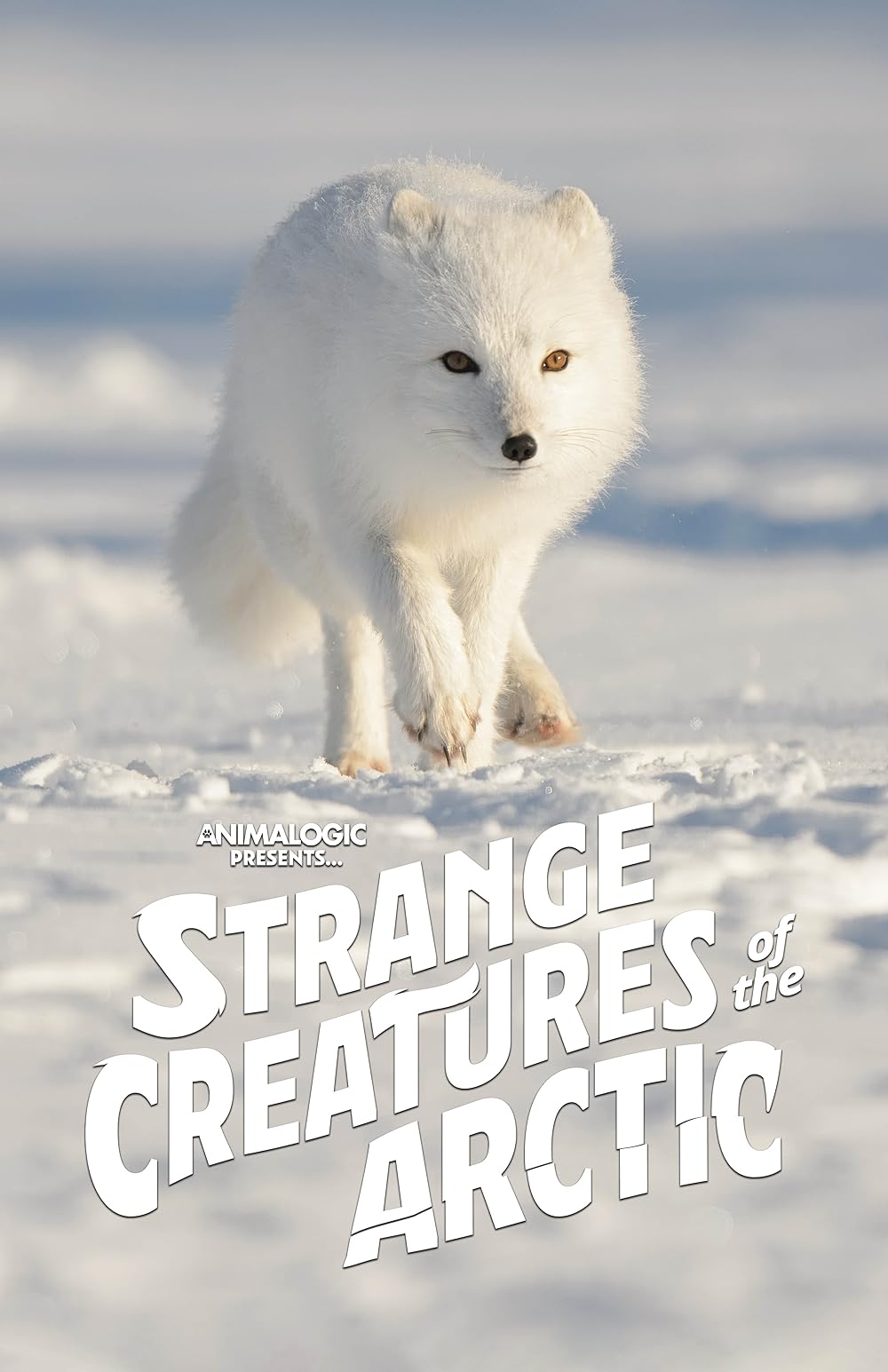 Strange Creatures of the Arctic 