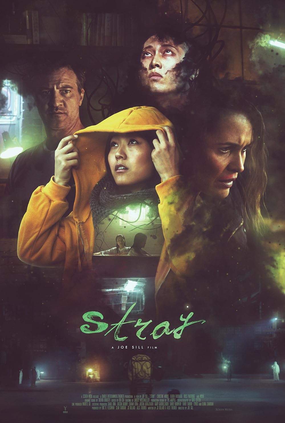 Stray 