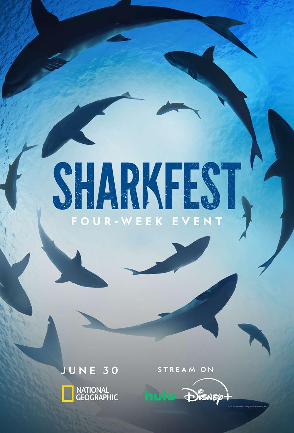 Supersized Sharks 