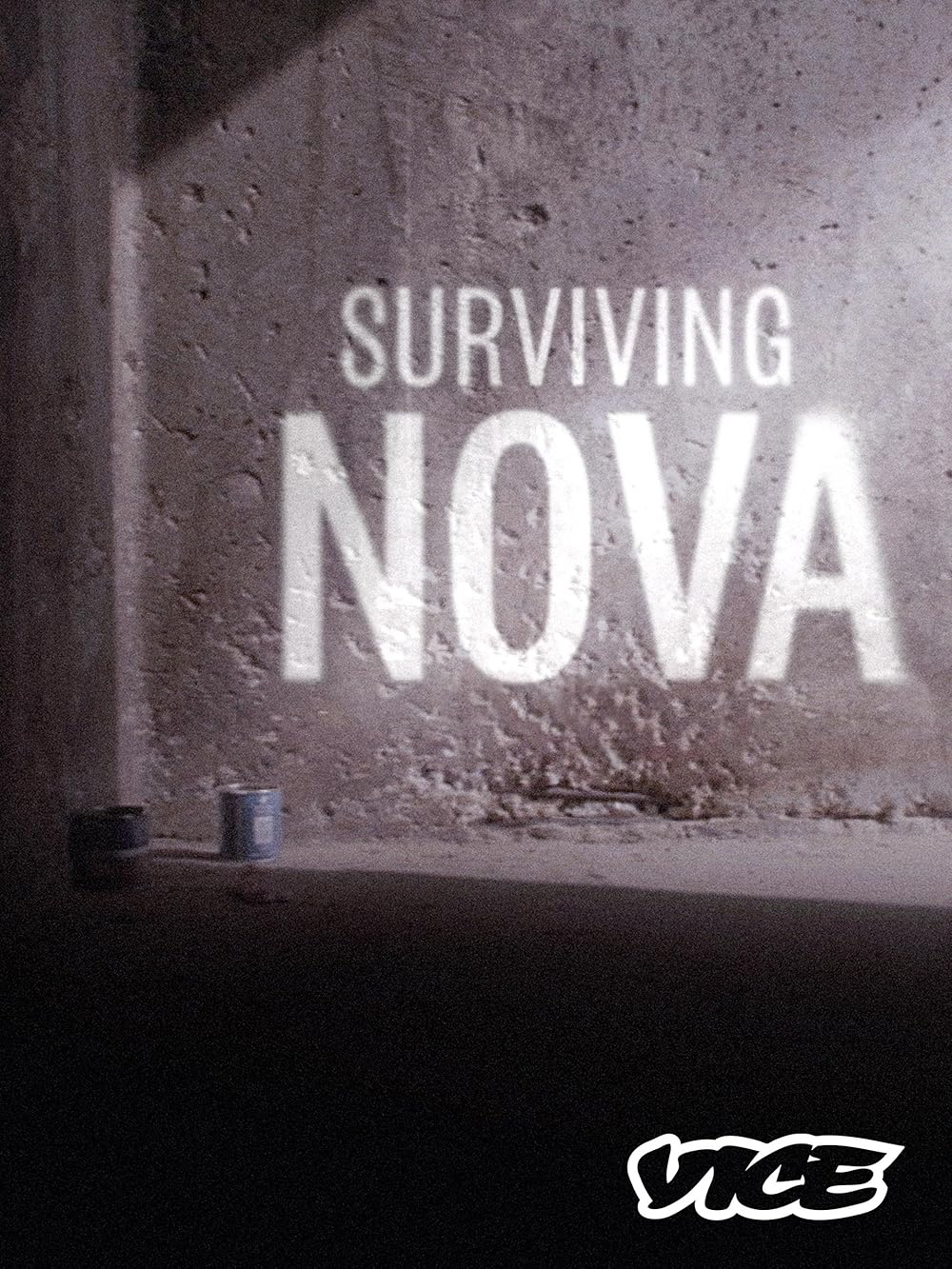 Surviving Nova 