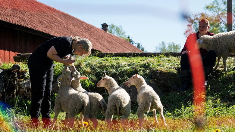 Svenska Bönder (TV Series 2026– ) 2026