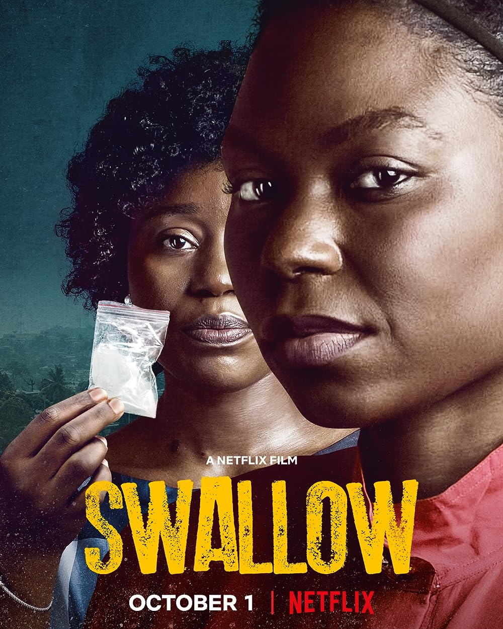 Swallow 