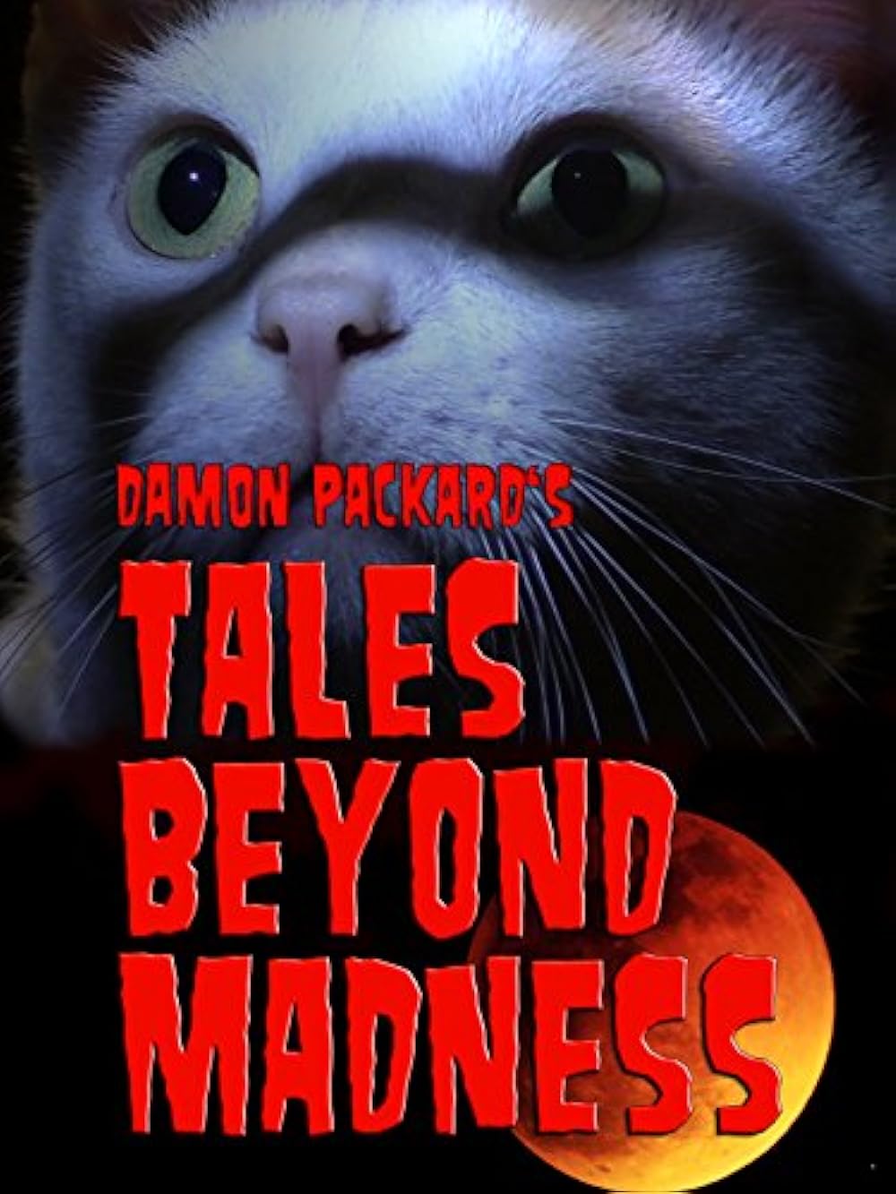 Tales Beyond Madness 