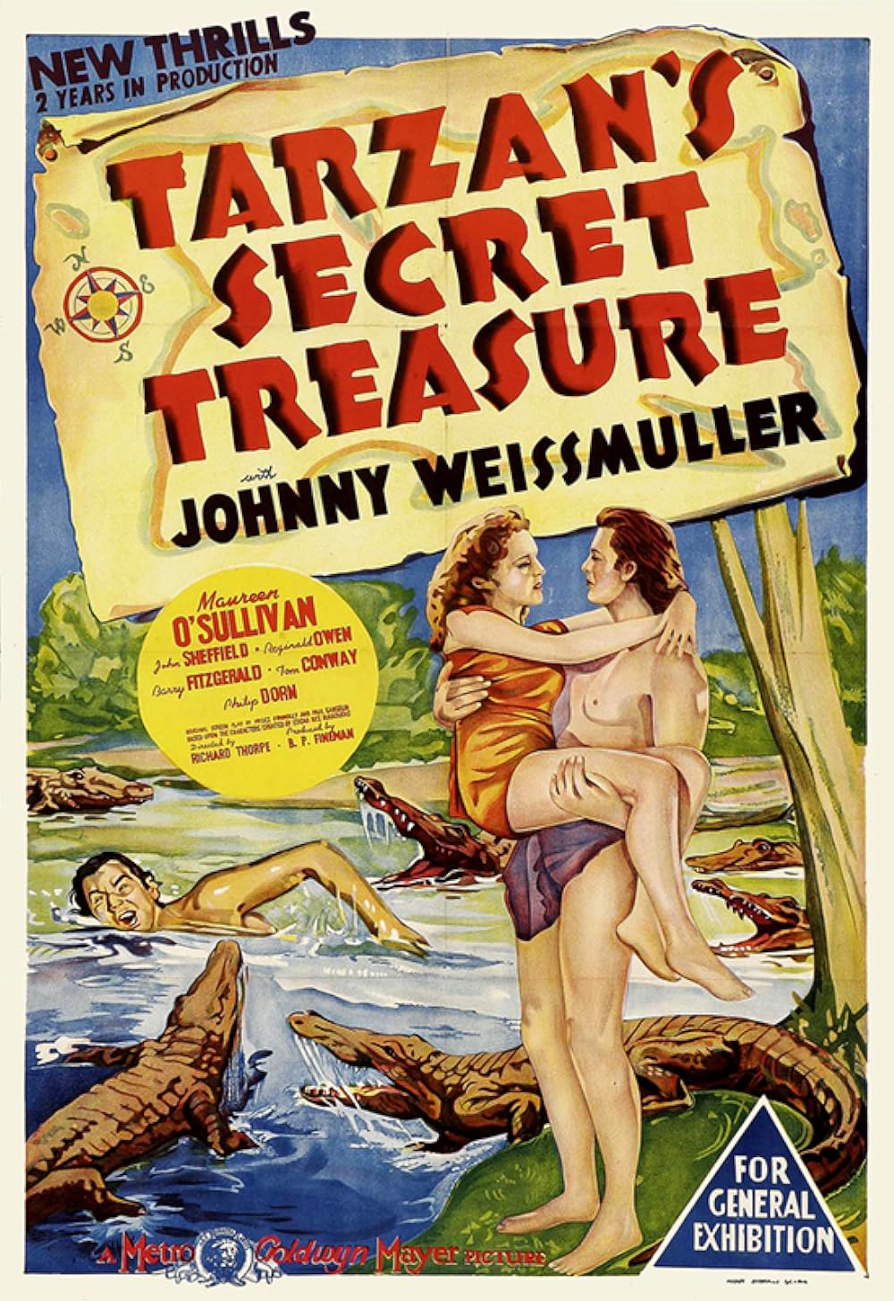 Tarzan's Secret Treasure 