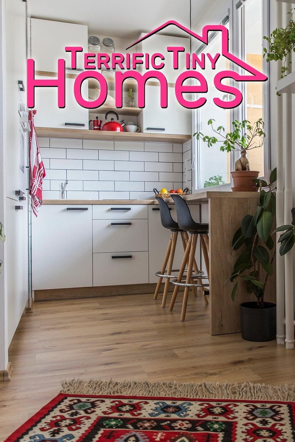 Terrific Tiny Homes 