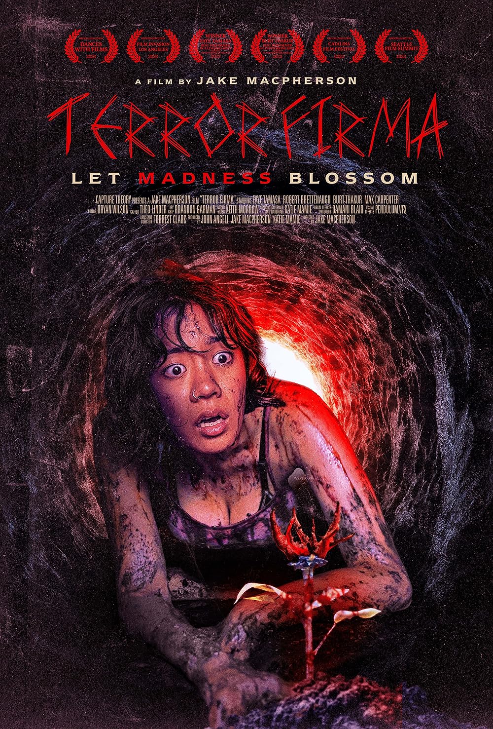 Terror Firma 