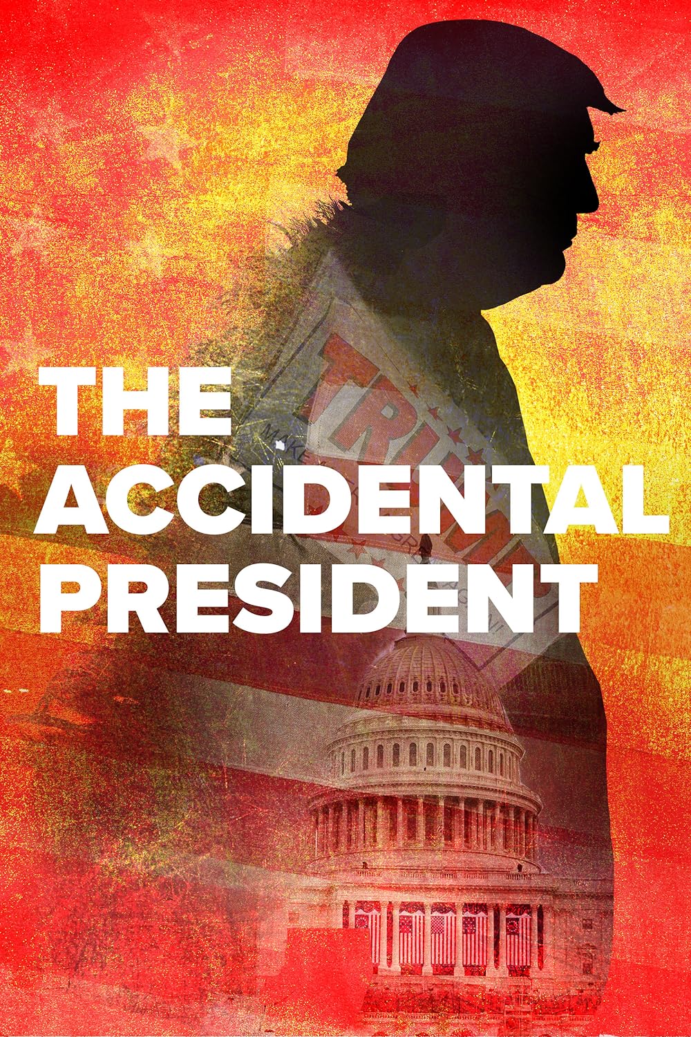 The Accidental President 