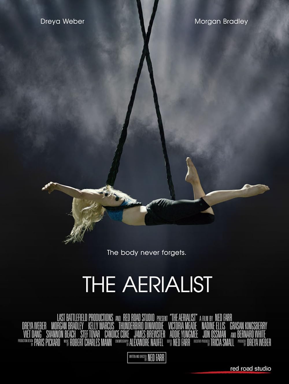 The Aerialist 