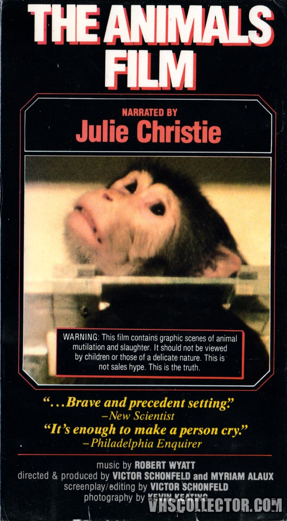 The Animals Film 