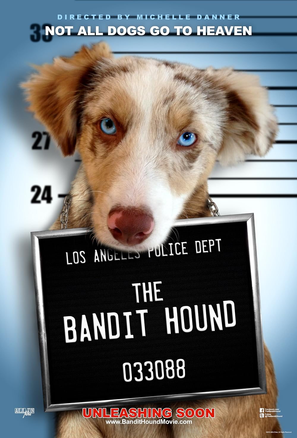 The Bandit Hound 
