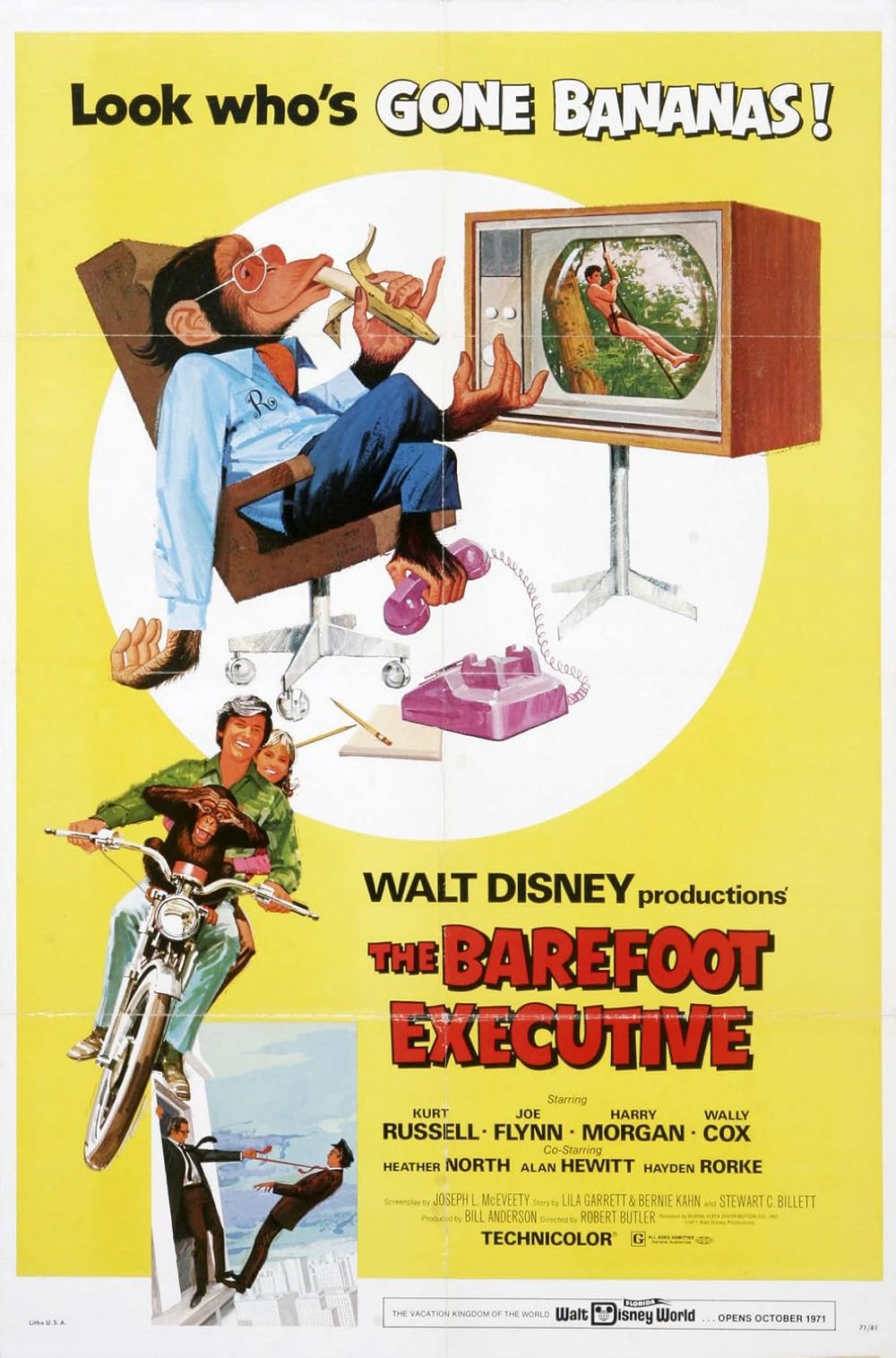 The Barefoot Executive 