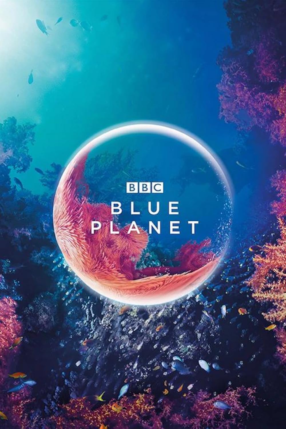 The Blue Planet 