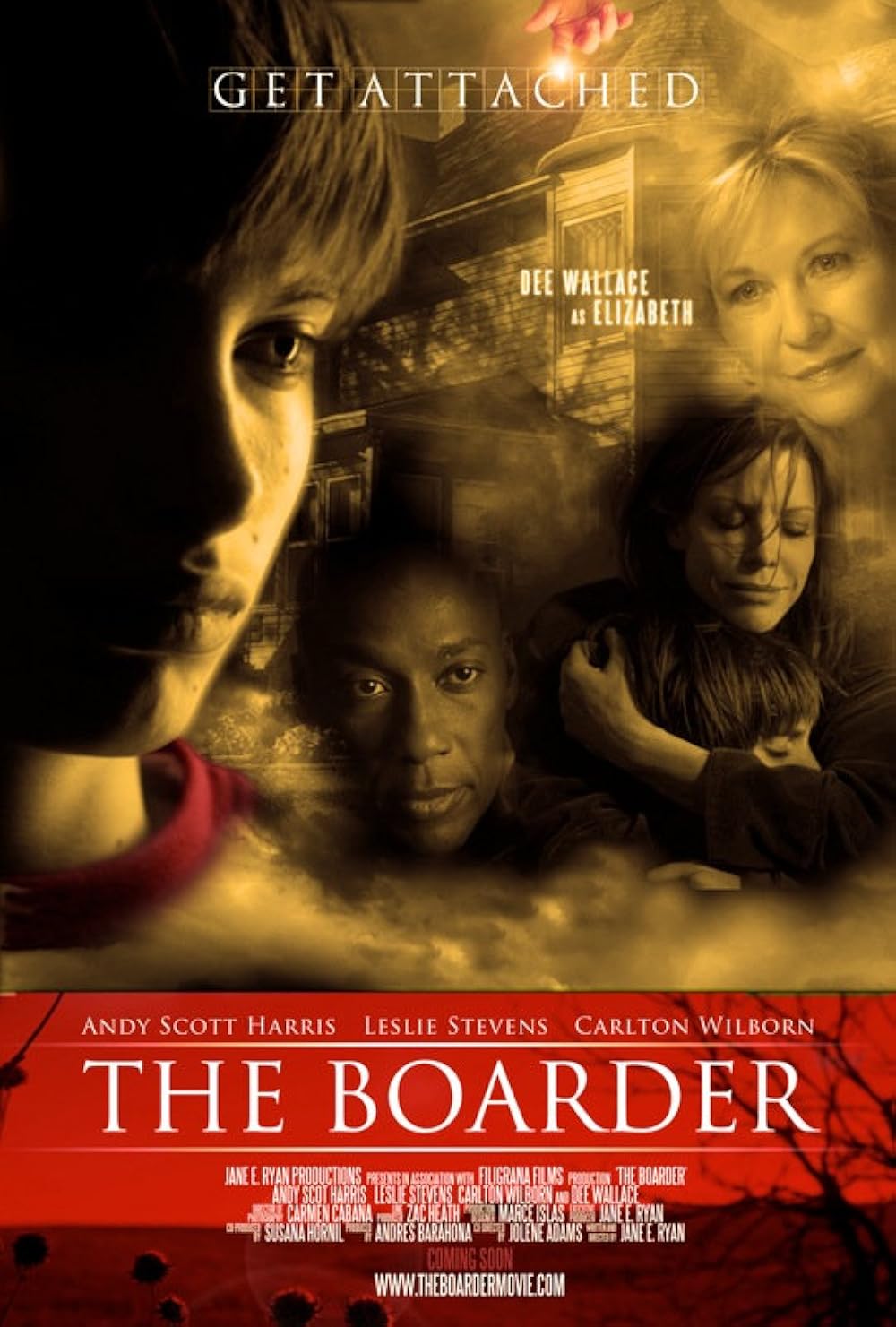 The Boarder 