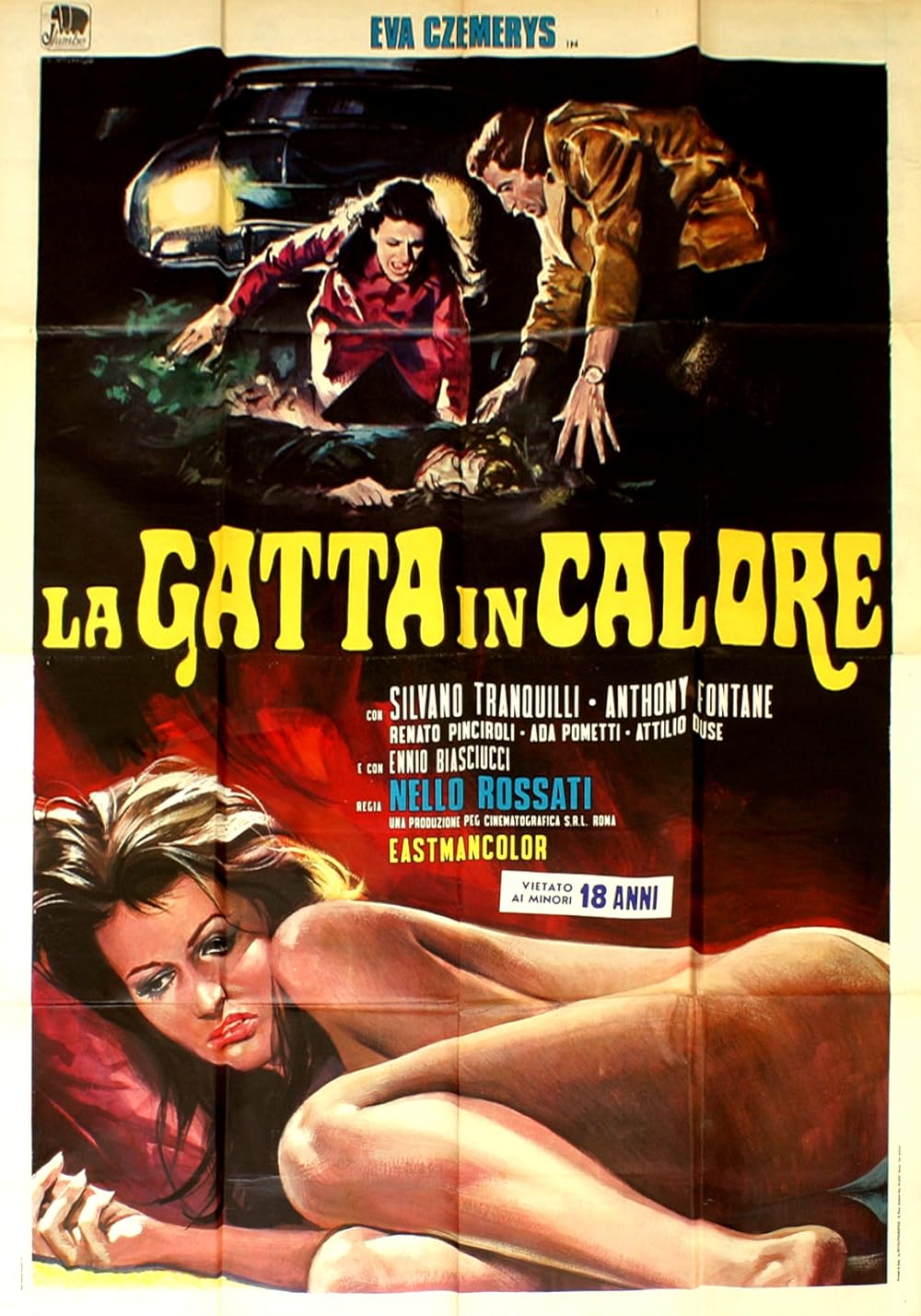 The Cat in Heat 