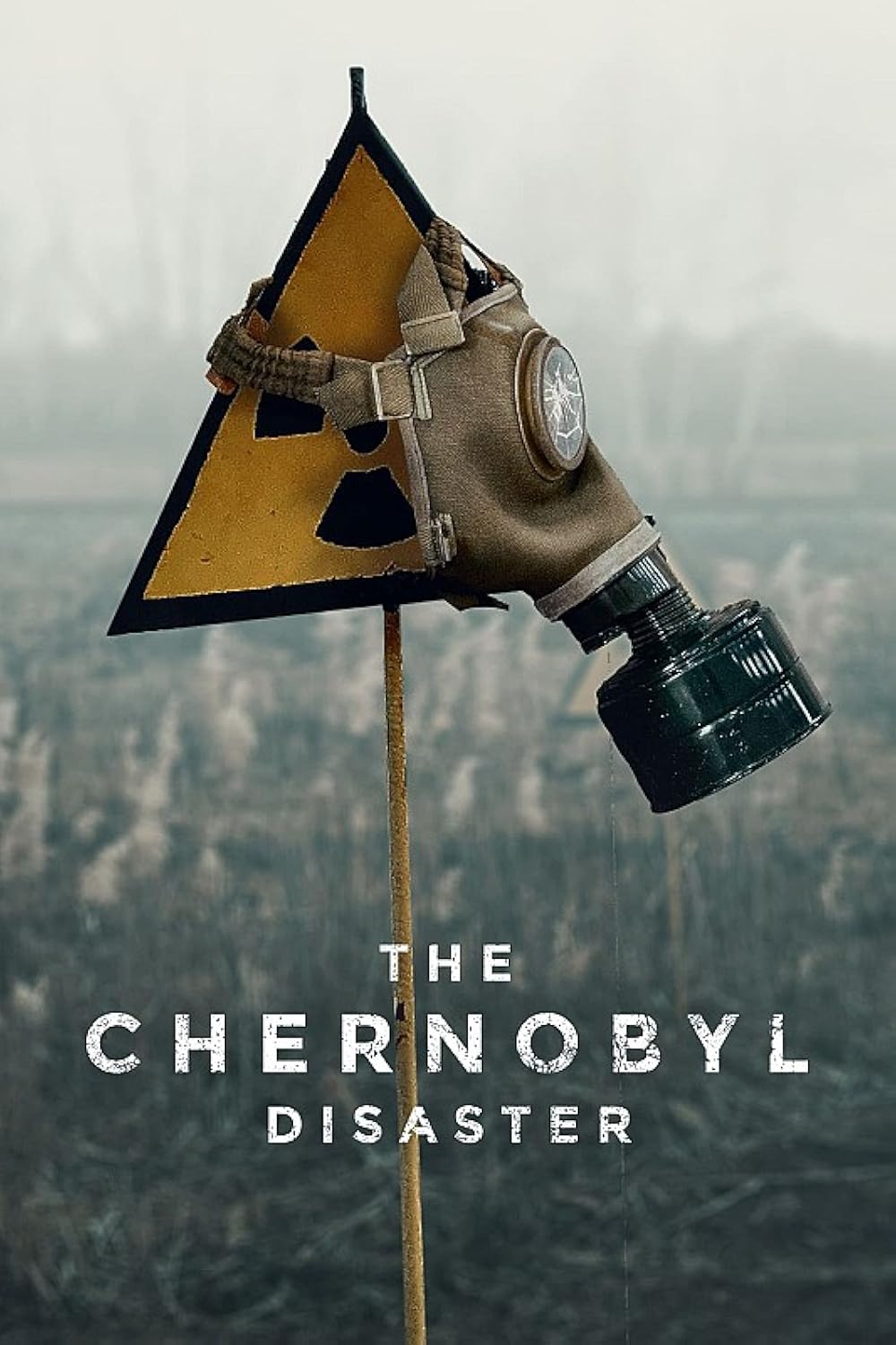 The Chernobyl Disaster 