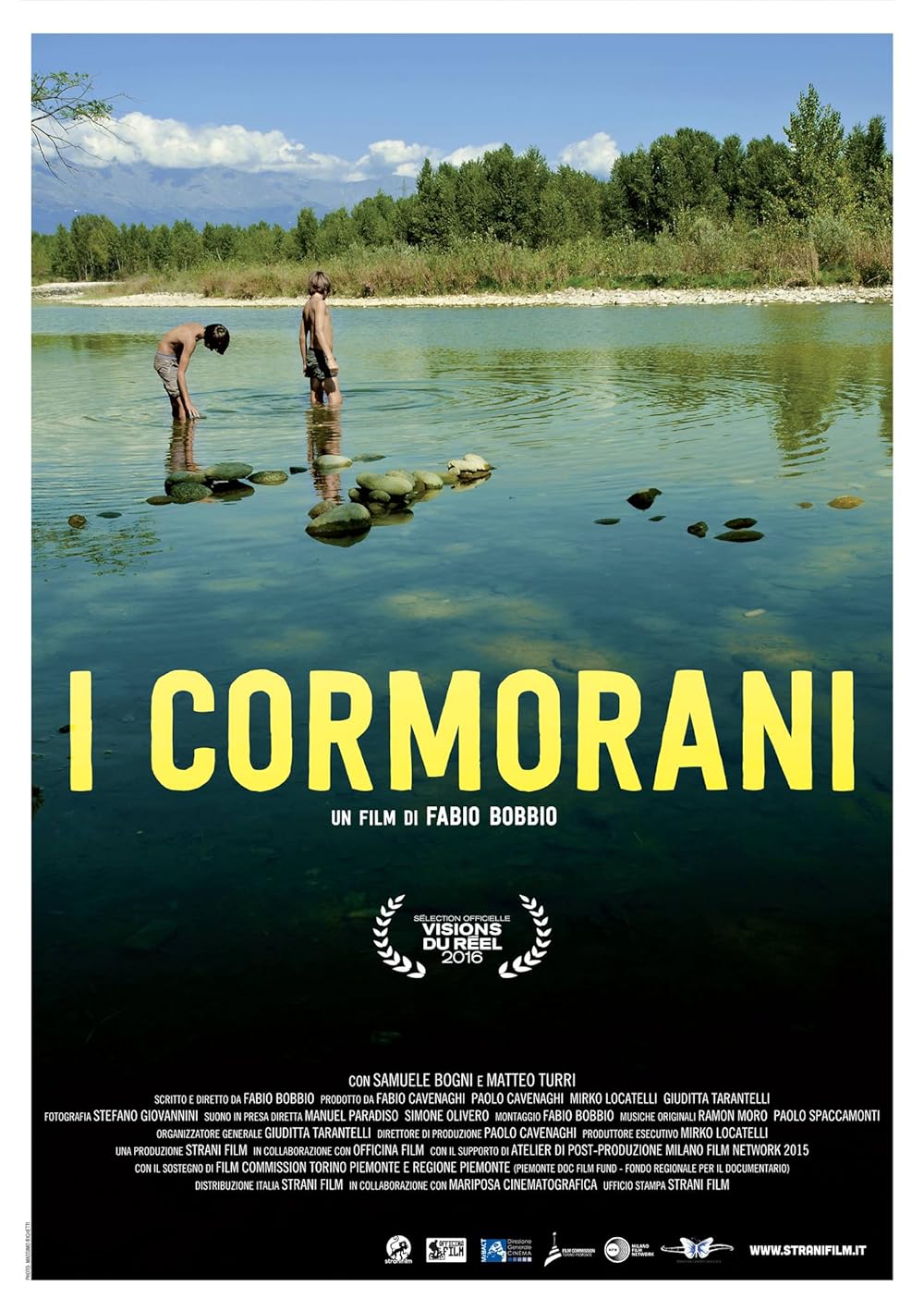 The Cormorants 