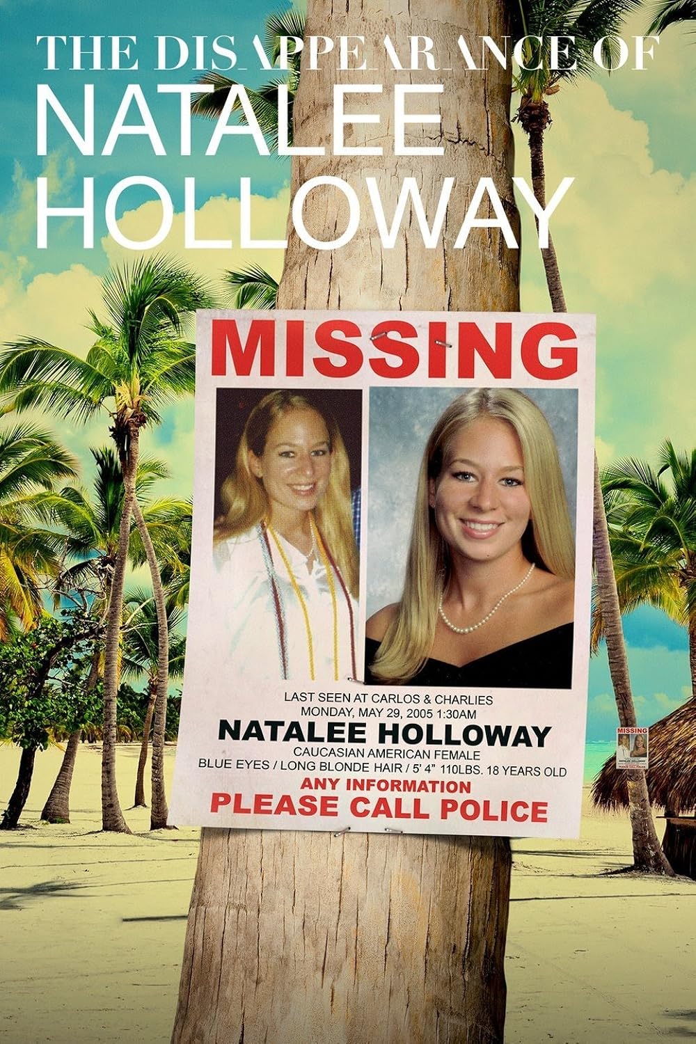 The Disappearance of: Natalee Holloway 