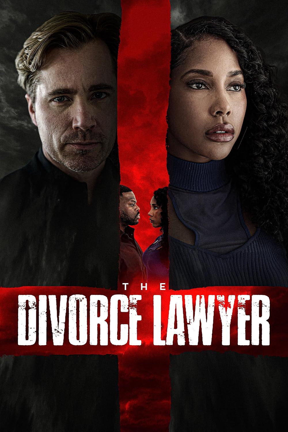 The Divorce Lawyer 