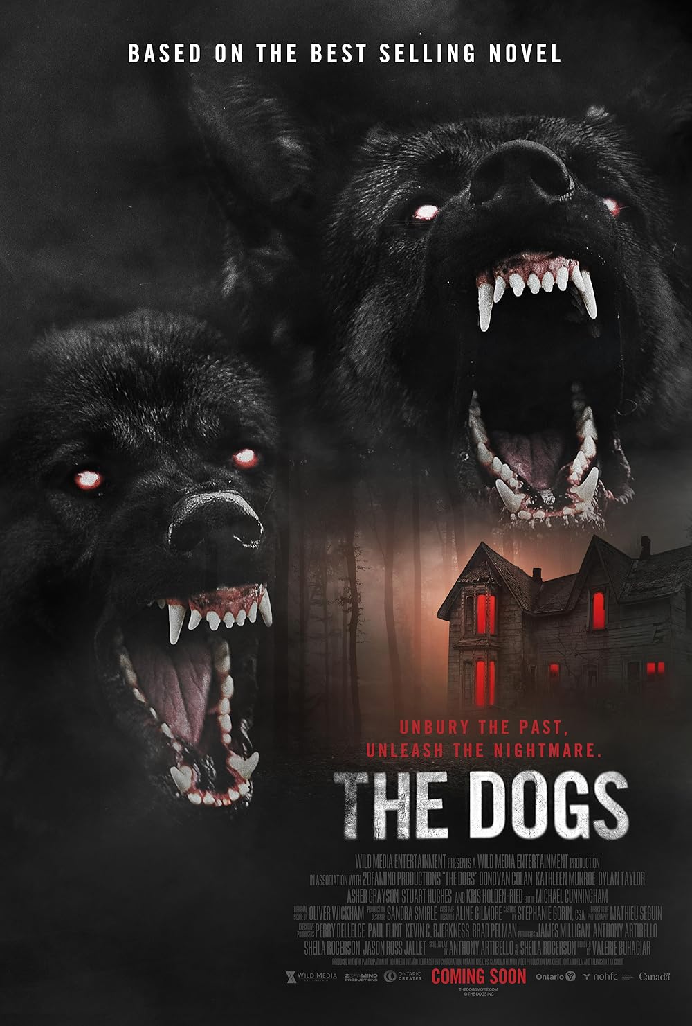 The Dogs 