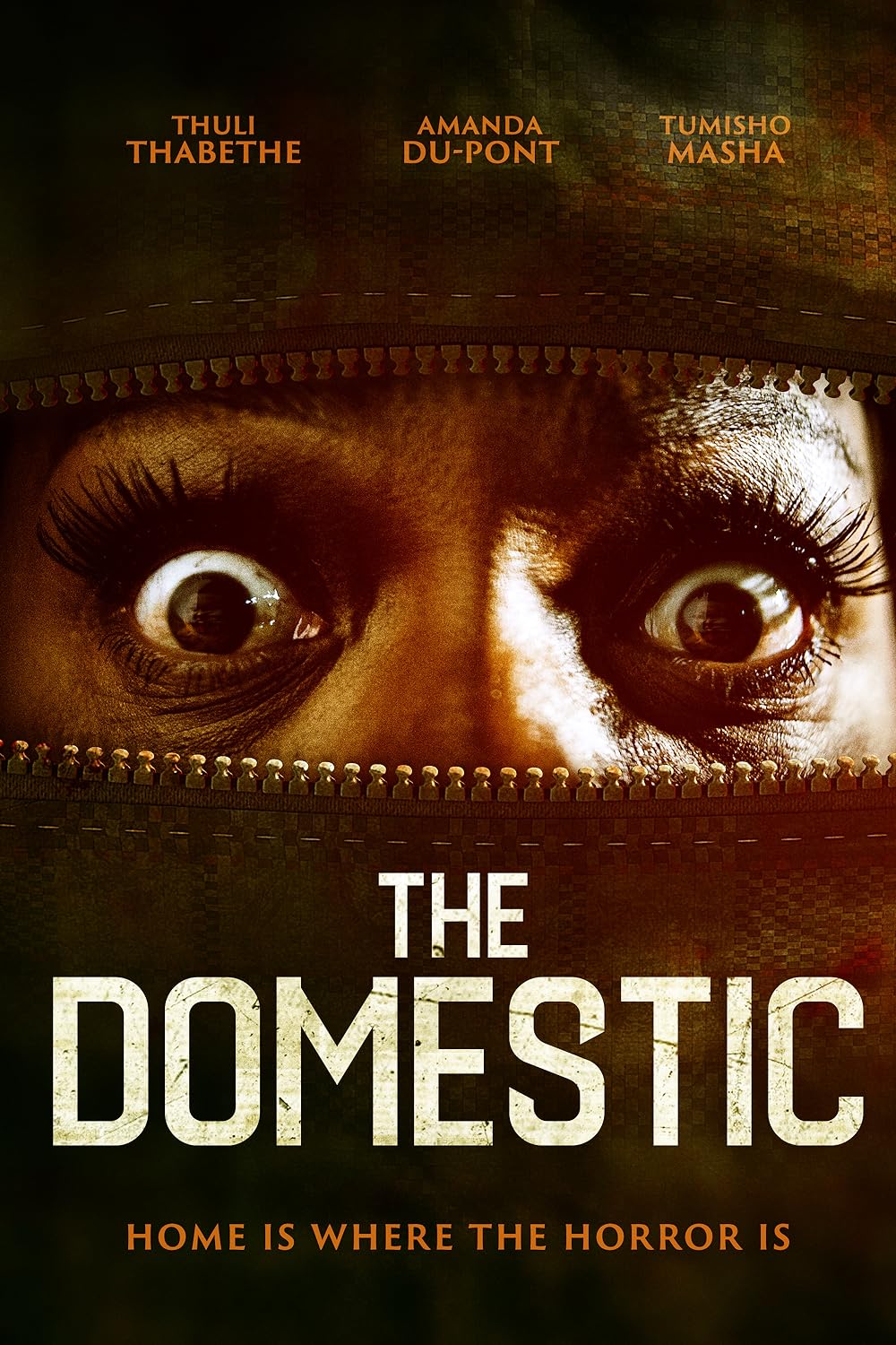 The Domestic 