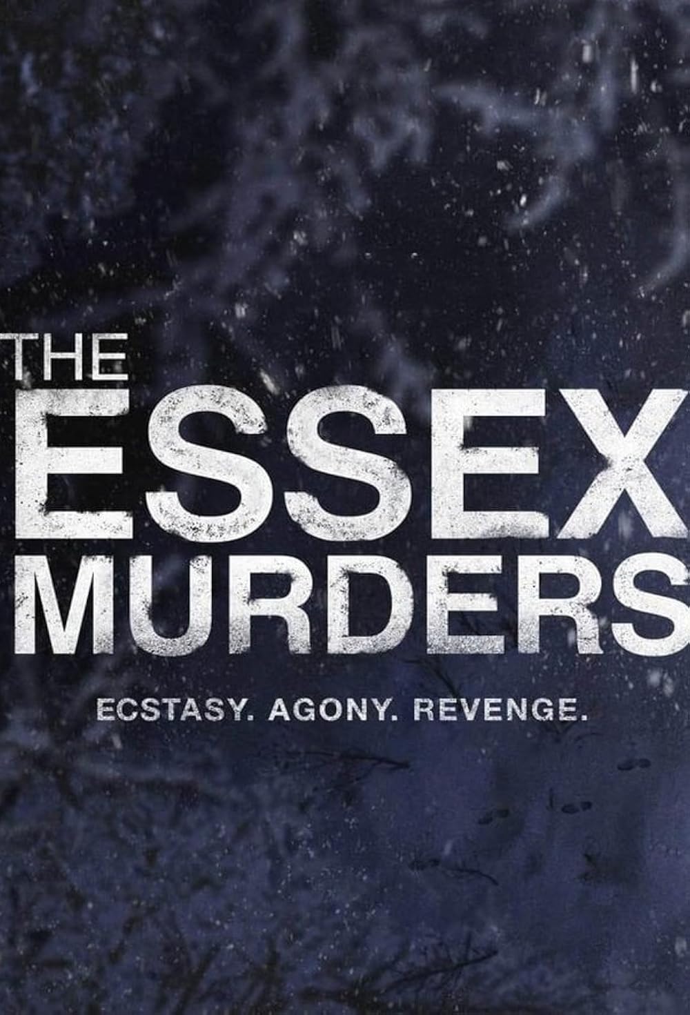 The Essex Murders 