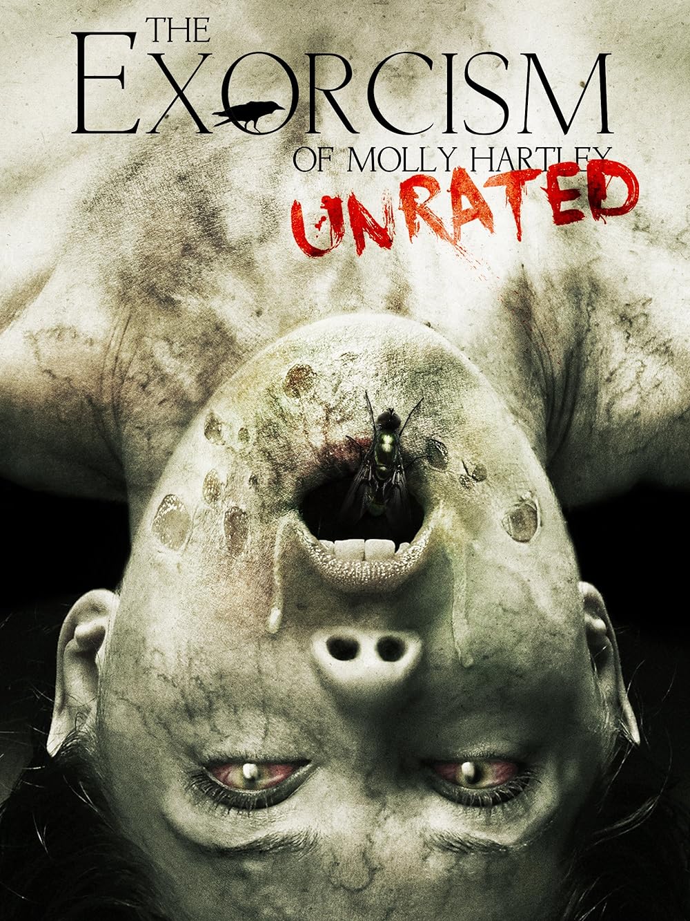 The Exorcism of Molly Hartley 