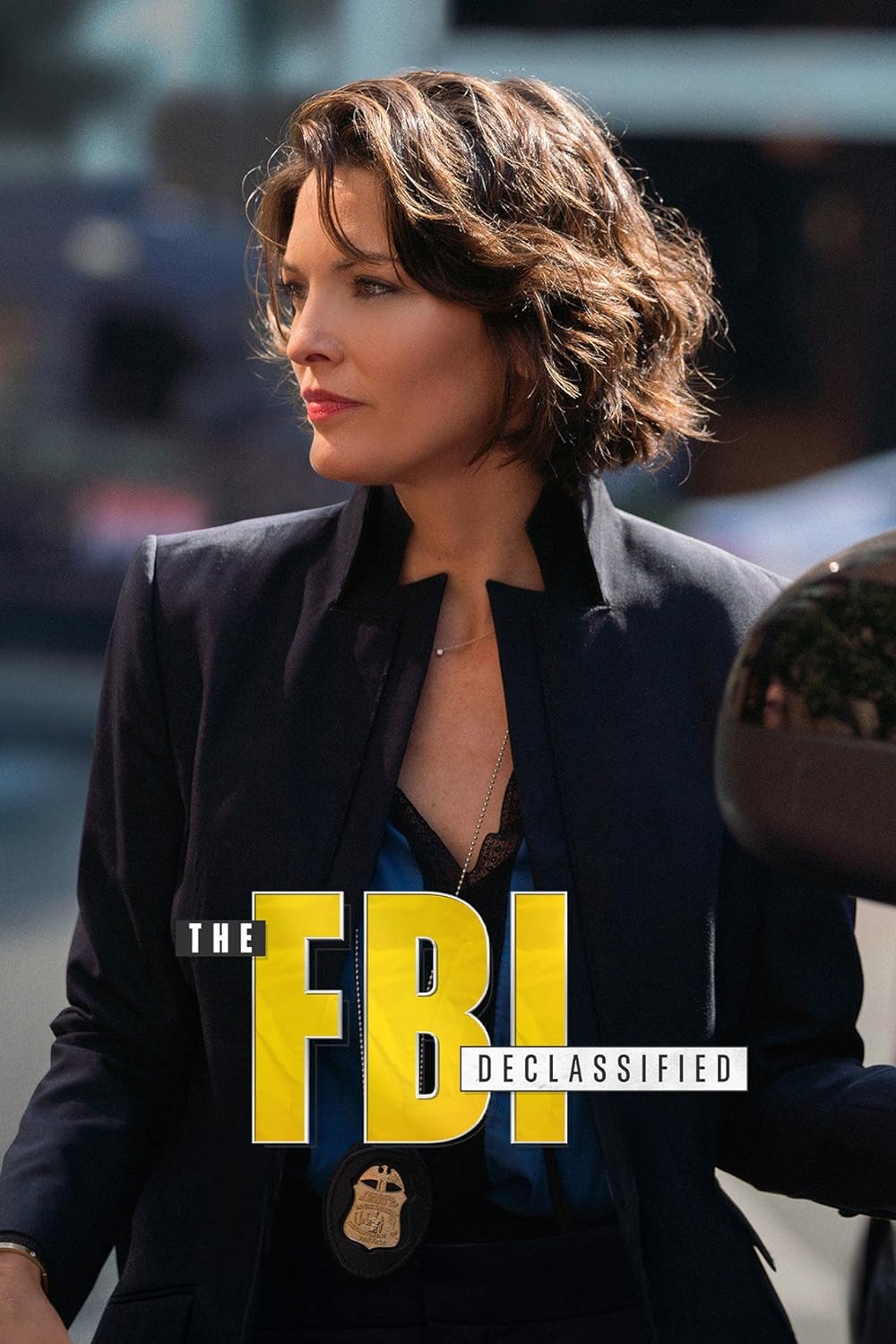 The FBI Declassified 
