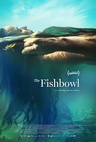The Fishbowl 