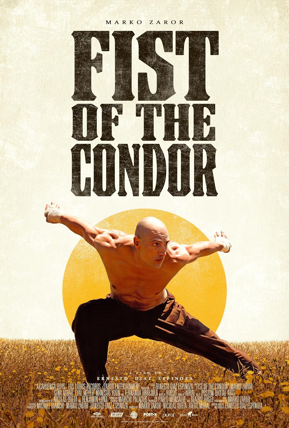 The Fist of the Condor 