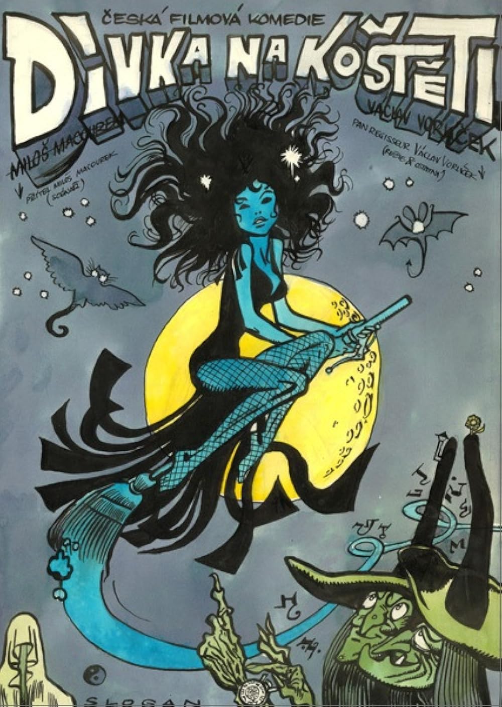 The Girl on the Broomstick 