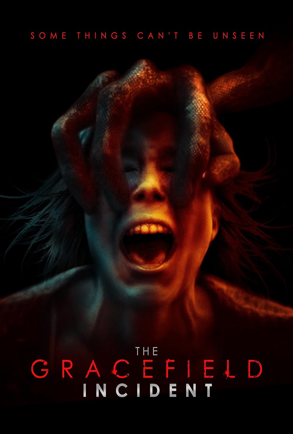 The Gracefield Incident 