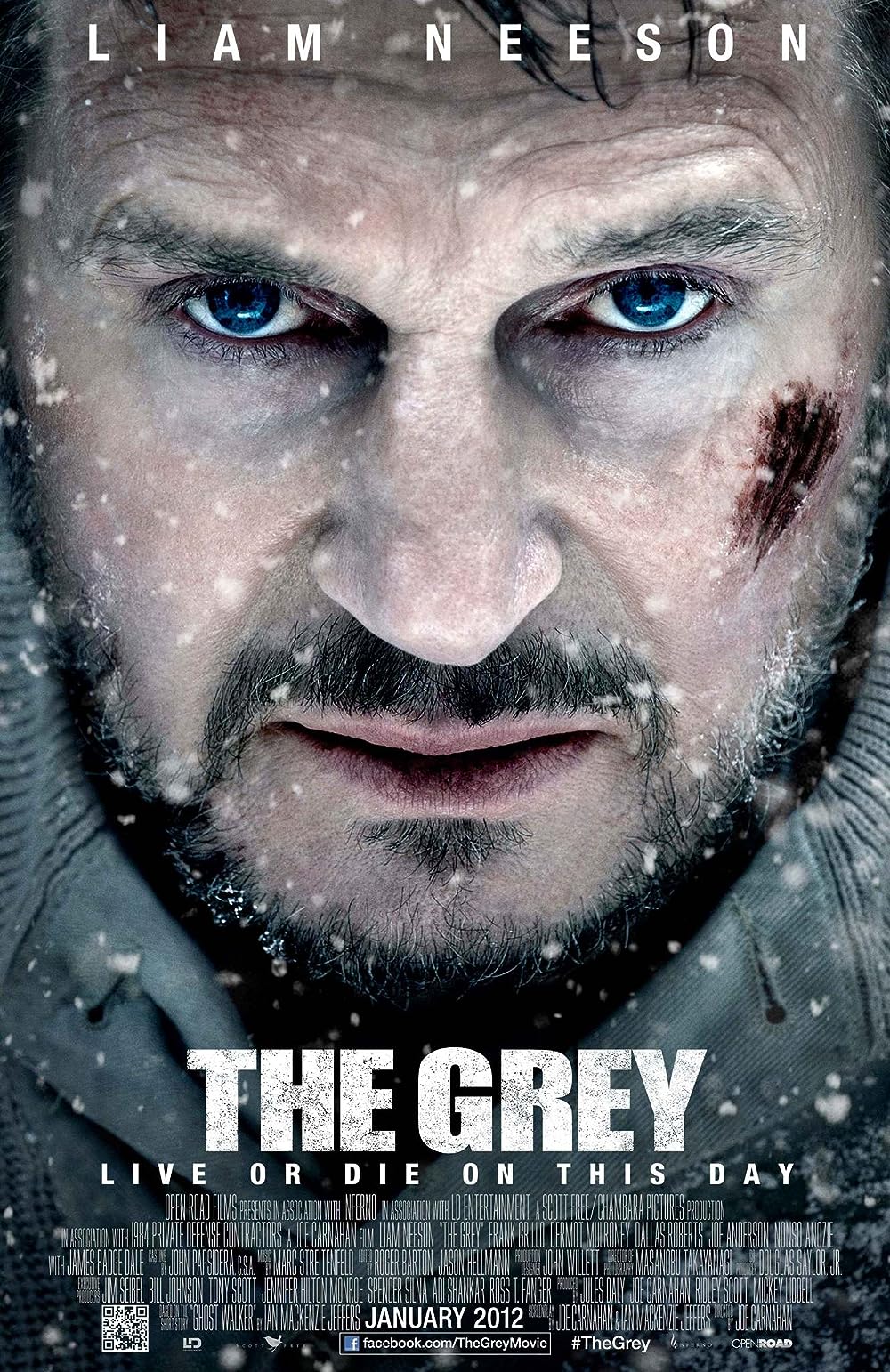 The Grey 