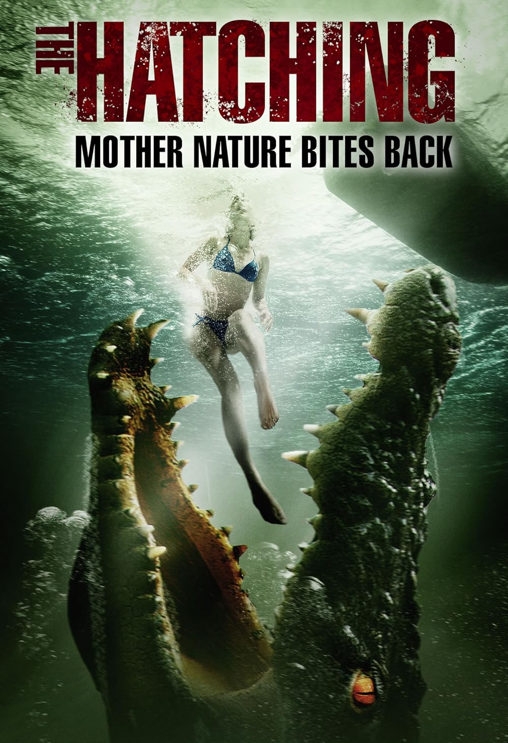 The Hatching 