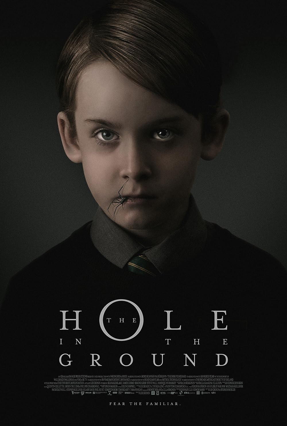 The Hole in the Ground 