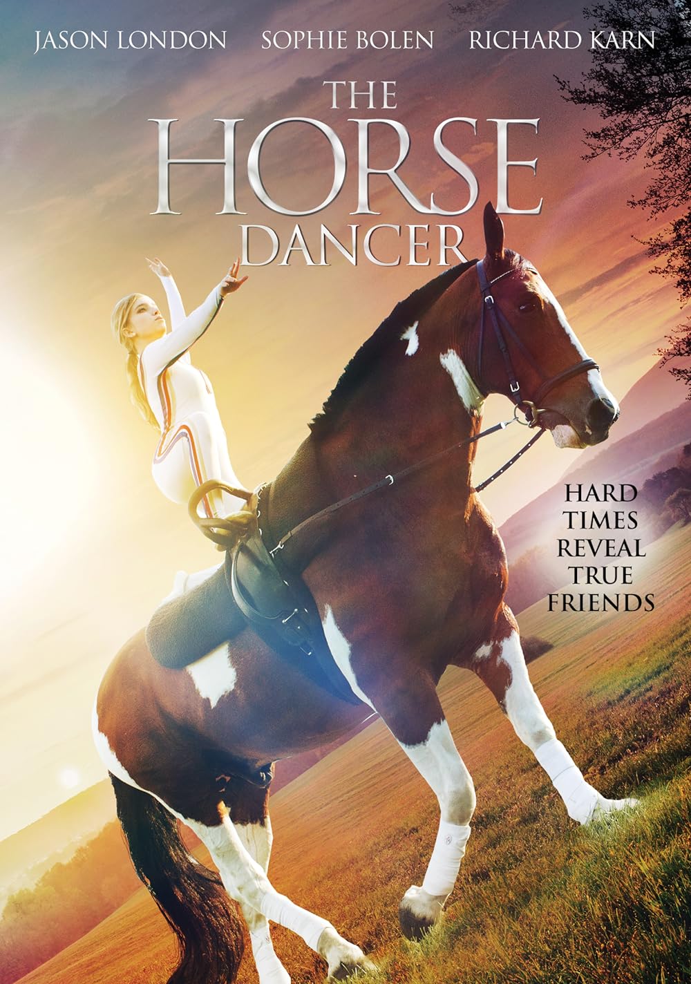The Horse Dancer 