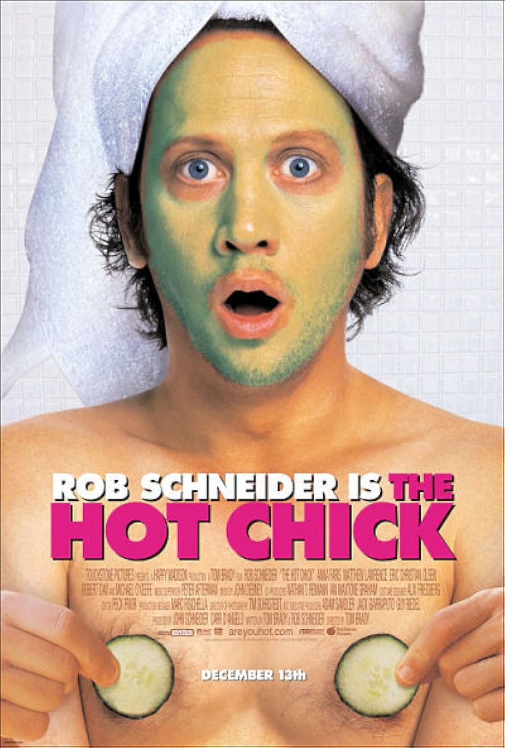 The Hot Chick 