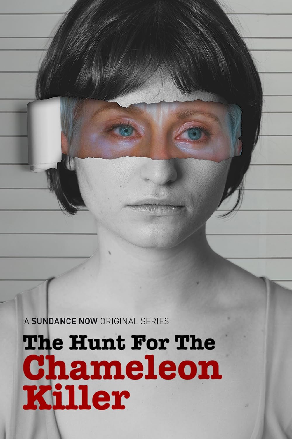 The Hunt for the Chameleon Killer 