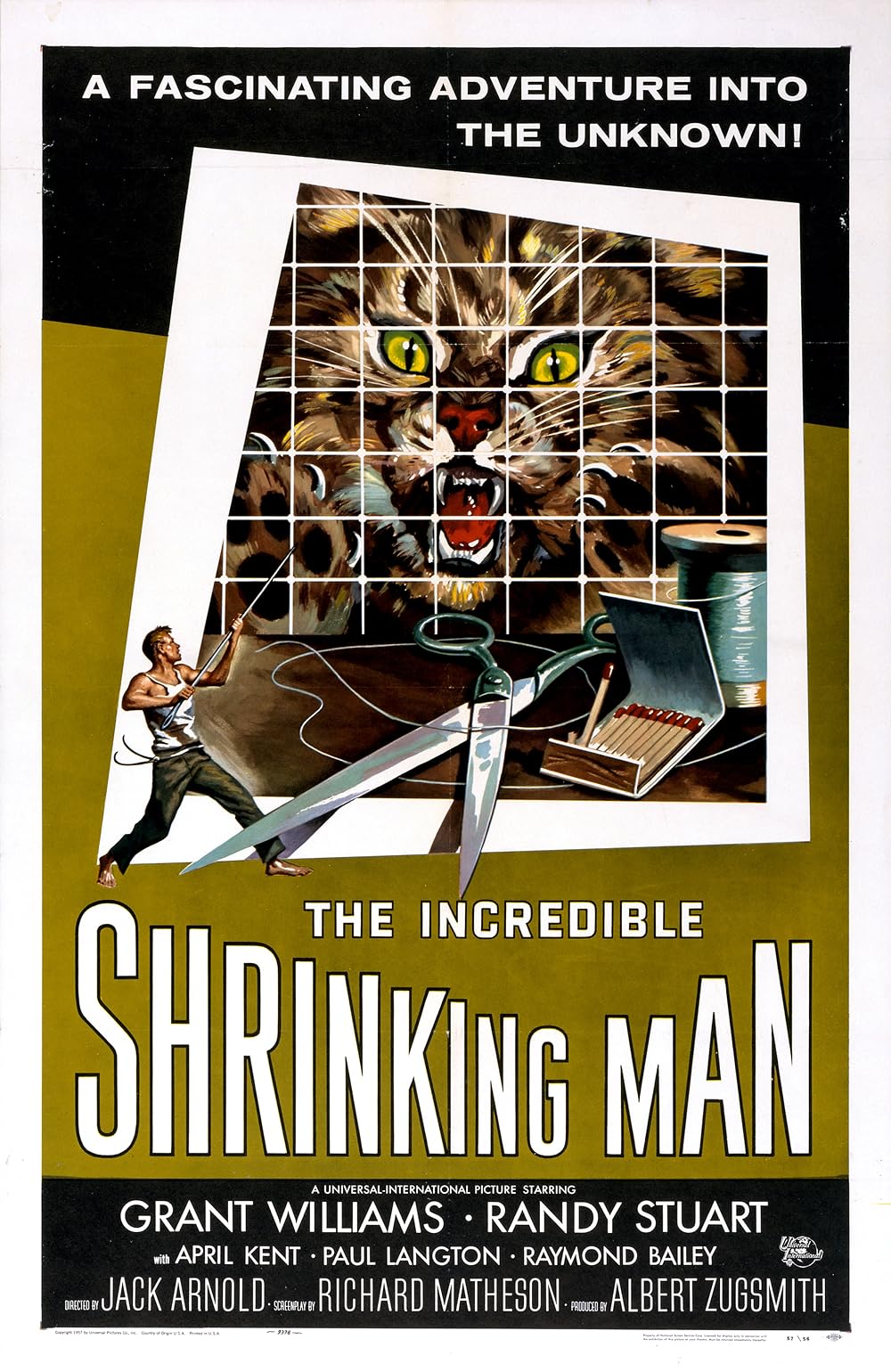 The Incredible Shrinking Man 
