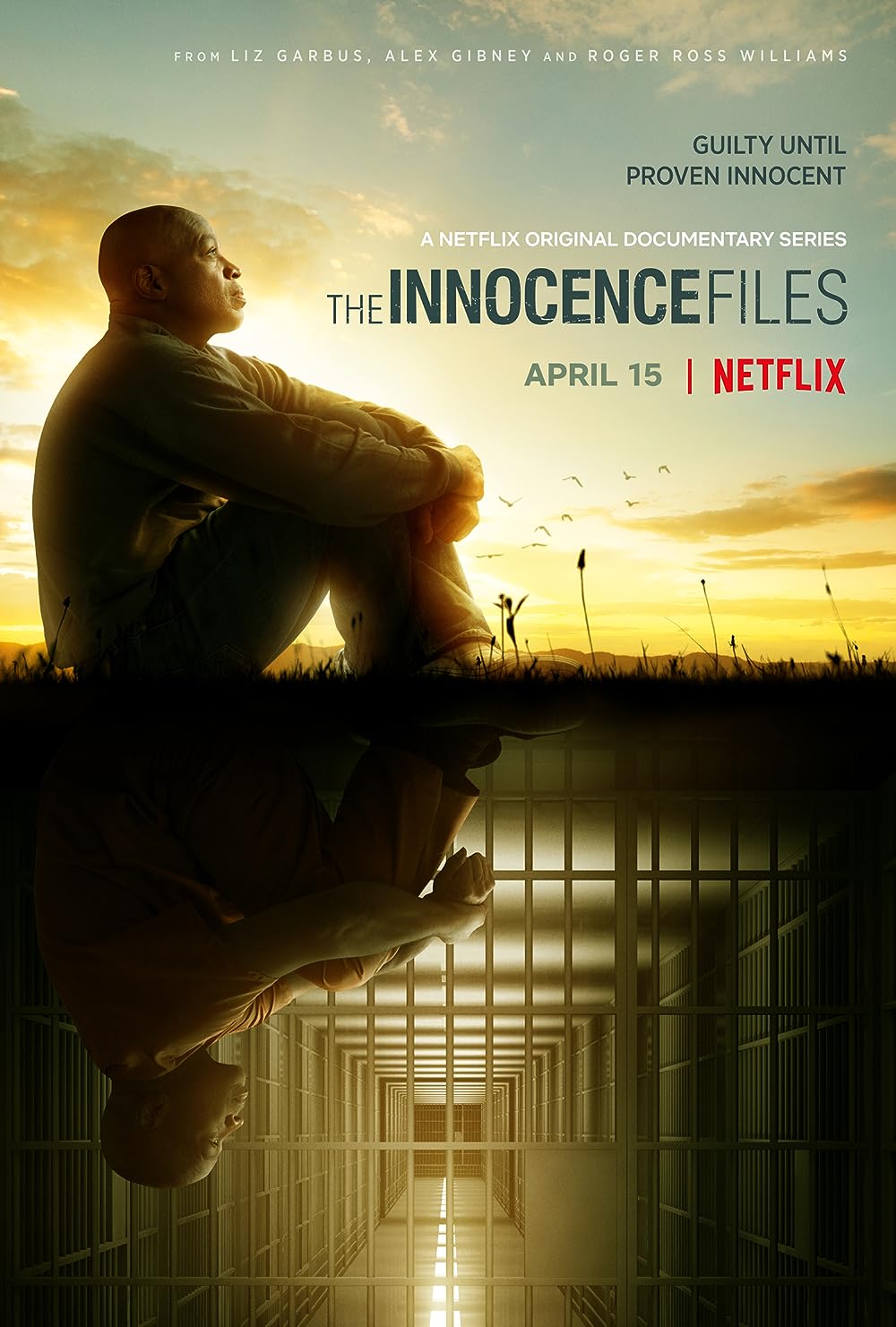The Innocence Files 