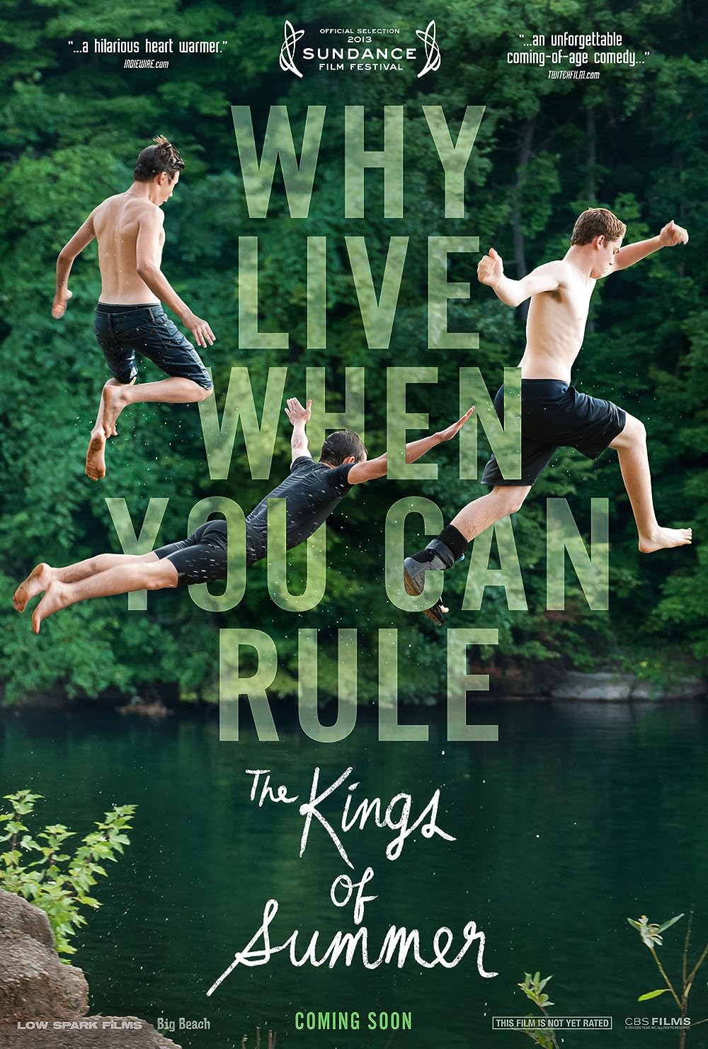 The Kings of Summer 