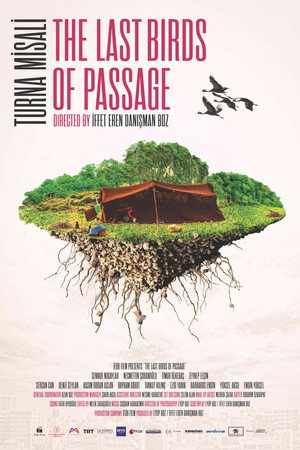 The Last Birds of Passage 